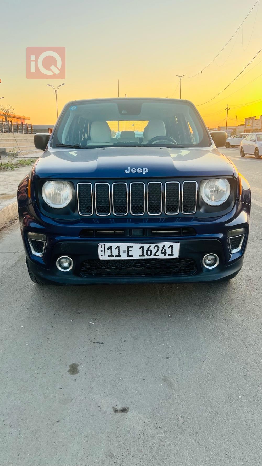 جيب رينيجيد